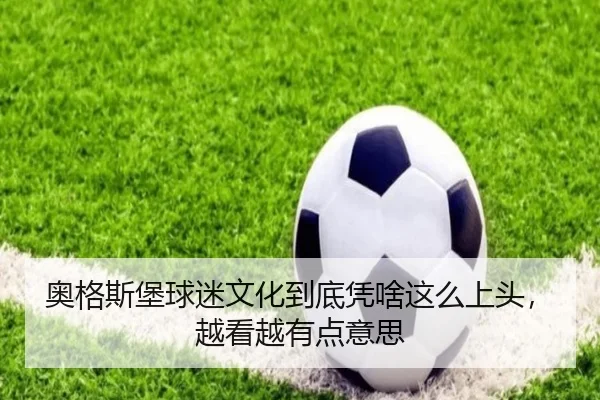 奥格斯堡球迷文化到底凭啥这么上头，越看越有点意思