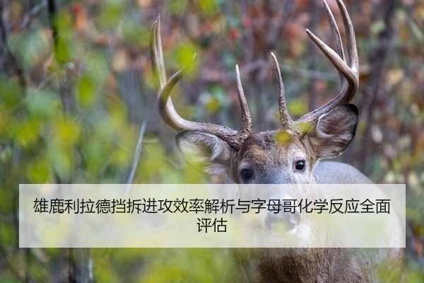 雄鹿利拉德挡拆进攻效率解析与字母哥化学反应全面评估