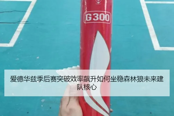 爱德华兹季后赛突破效率飙升如何坐稳森林狼未来建队核心